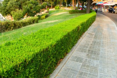 Lane kaldırım geçit