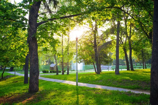 Zielony park — Zdjęcie stockowe