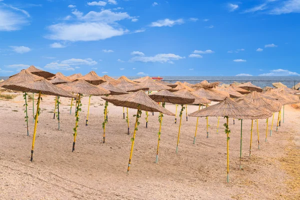 Parasole na plaży — Zdjęcie stockowe