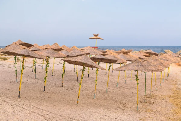 Sea sun umbrella — Stock Photo, Image