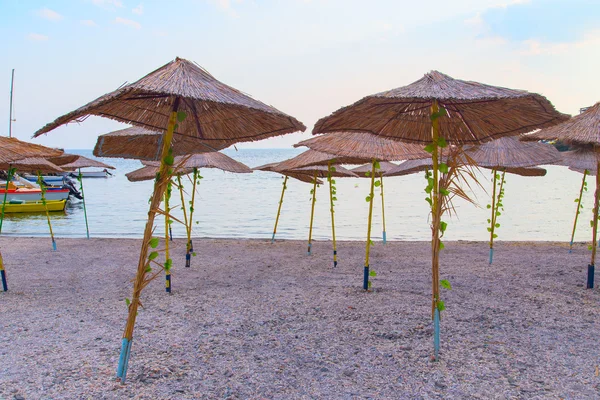 Sea sun umbrella — Stock Photo, Image