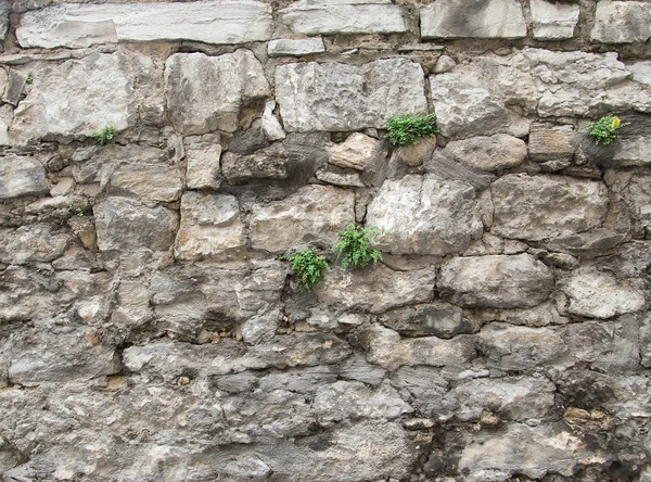 Stenen muur achtergrond — Stockfoto