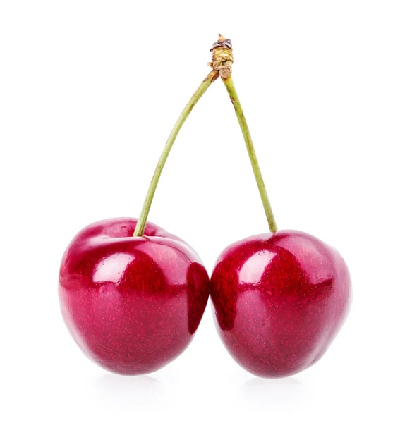 Cherries on white — Stock Photo, Image