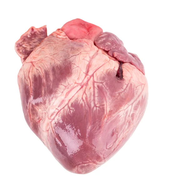 Featured image of post View 14 Lapiz Dibujos De Corazones Reales