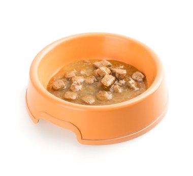 tabak kedi yemek