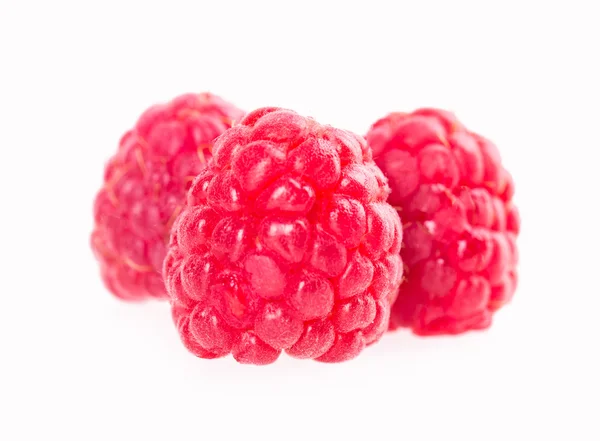 Fruits of raspberry — Stock Photo, Image