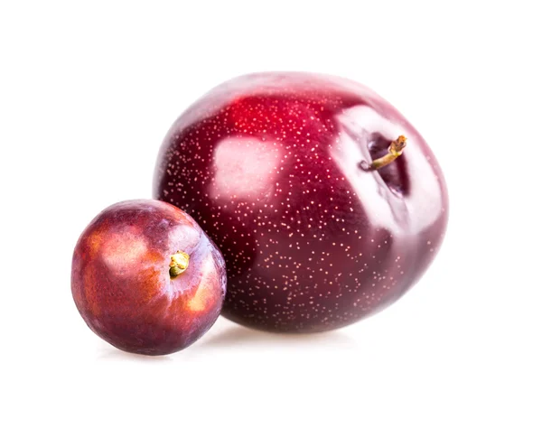 Plum — Stock Photo, Image