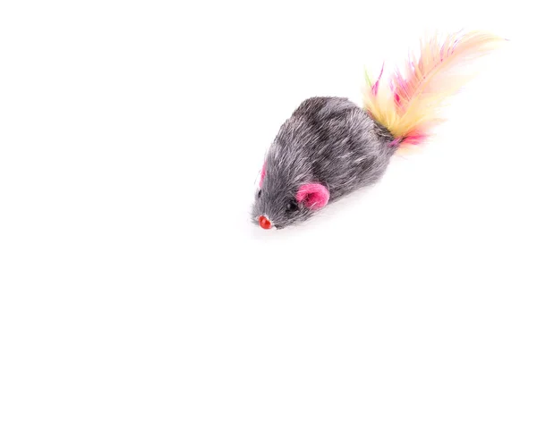 Rato brinquedo gato — Fotografia de Stock