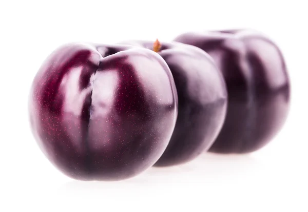 Plum — Stock Photo, Image