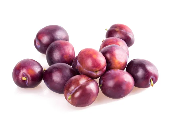 Plum — Stock Photo, Image