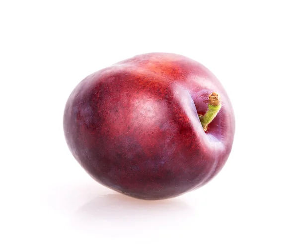 Plum — Stock Photo, Image