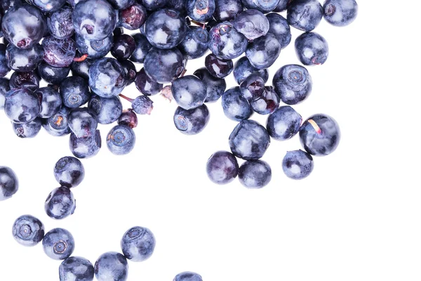 Blueberry berry — Stock Photo, Image