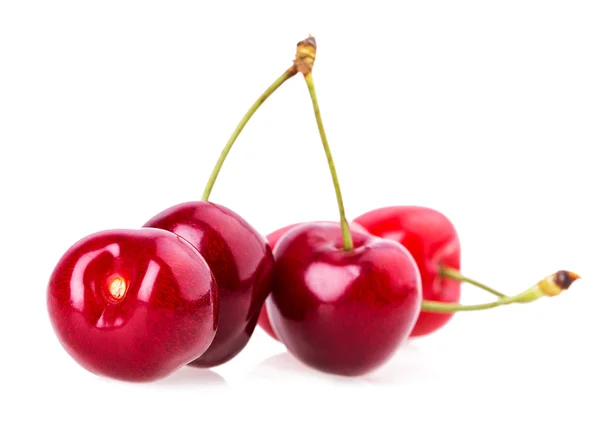 Cherry — Stock Photo, Image