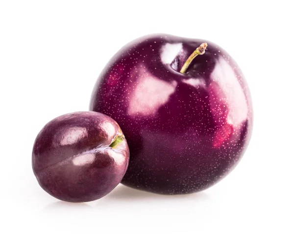 Plum — Stock Photo, Image