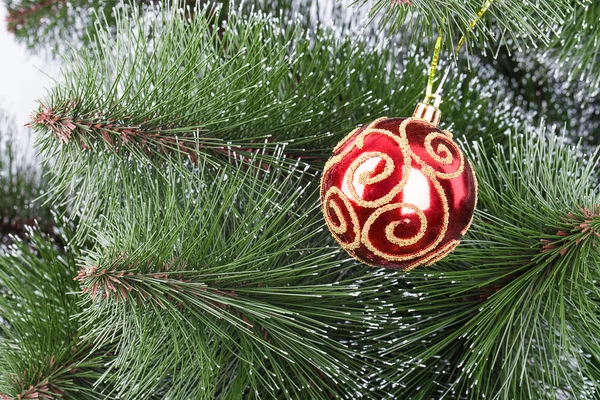 Vánoční koule borovice větev stromu — Stock fotografie