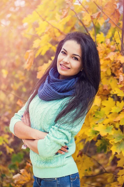 Hermoso retrato de mujer morena —  Fotos de Stock