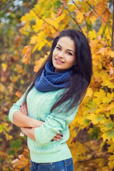 Hermoso retrato de mujer morena — Foto de Stock