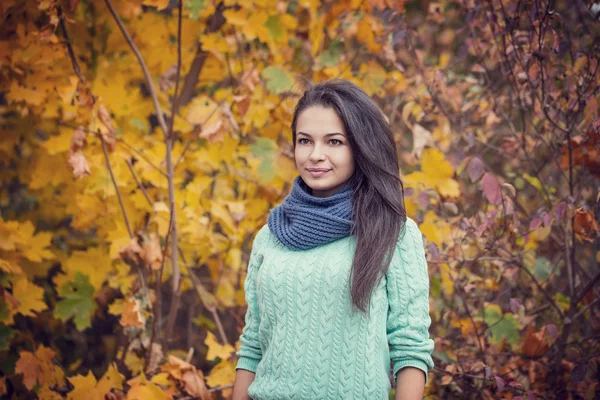 Vacker brunett kvinna porträtt — Stockfoto