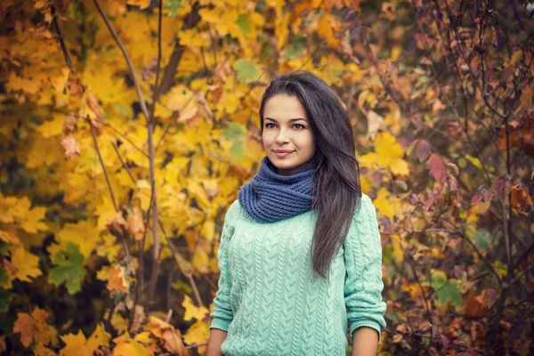 Mooie brunette vrouw portret — Stockfoto