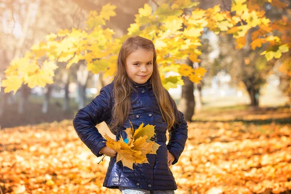 秋の公園の少女 — ストック写真