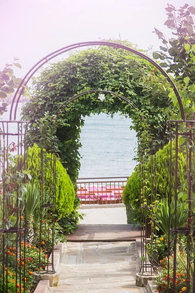 Way to the sea with plants — Stock Photo, Image