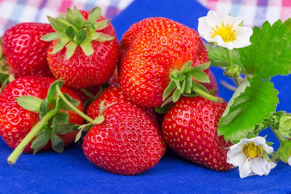 Fresas dulces en una servilleta — Foto de Stock