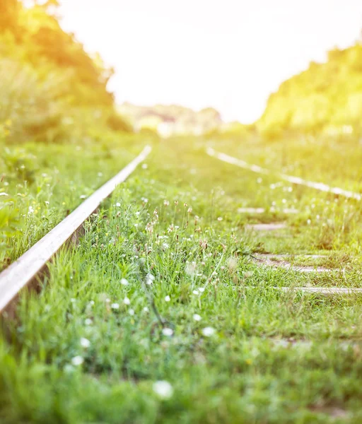 Ferrovia va in lontananza — Foto Stock