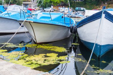 Bağlantı noktası tekneler ve deniz yosunu çamur