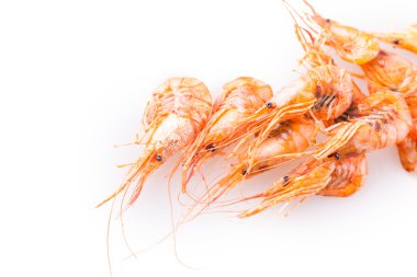 Lezzetli haşlanmış karides