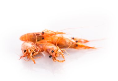 Lezzetli haşlanmış karides