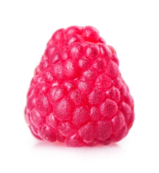 Juicy raspberry in closeup — Stock Photo, Image