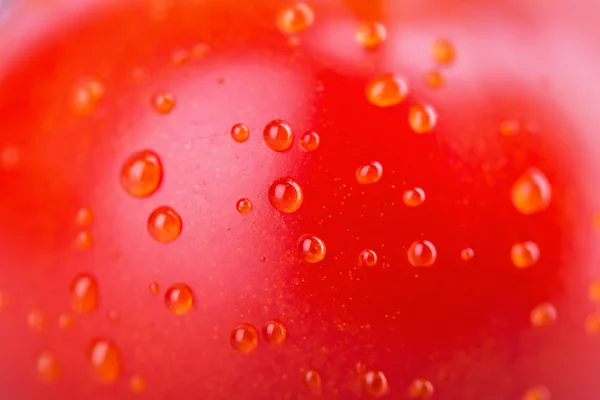 Tomate fraîche en gros plan — Photo
