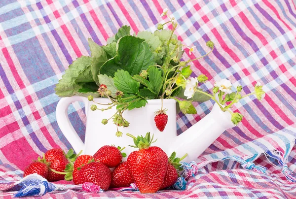 Aardbeien met servet op achtergrond — Stockfoto