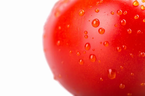 Tomate fraîche sur fond blanc — Photo