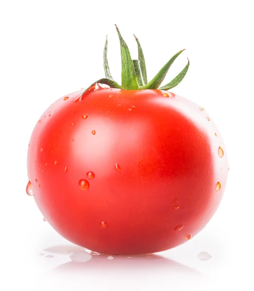 Tomat segar di latar belakang putih — Stok Foto