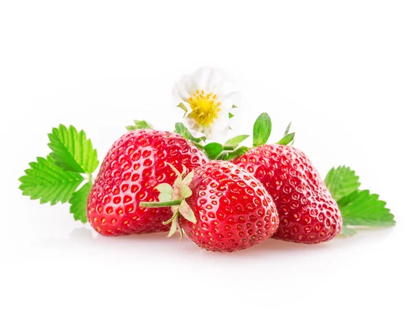 Parlak tatlı çilek