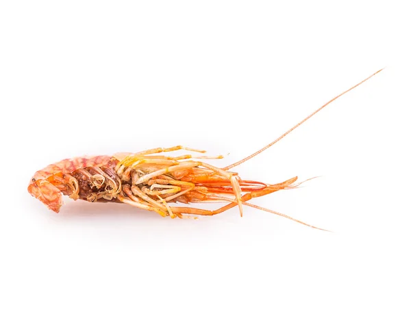 Crevettes savoureuses bouillies — Photo