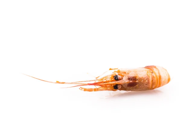 Crevettes savoureuses bouillies — Photo