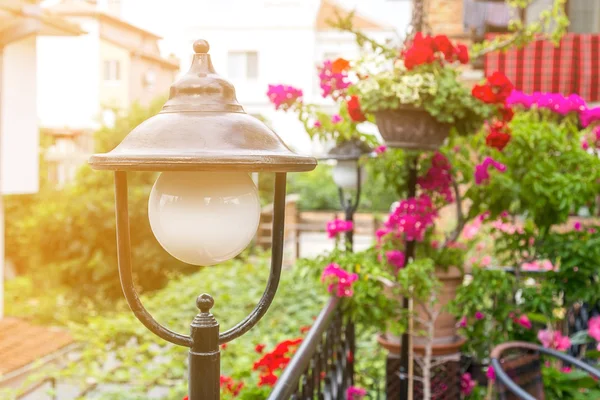 Lámpara en Blossom Street — Foto de Stock