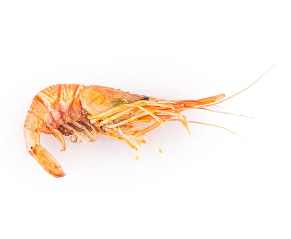 Crevettes savoureuses bouillies — Photo