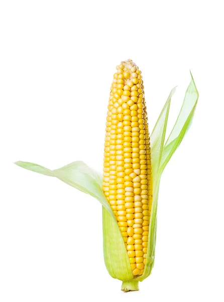 Raw corn in closeup — Stock Photo, Image