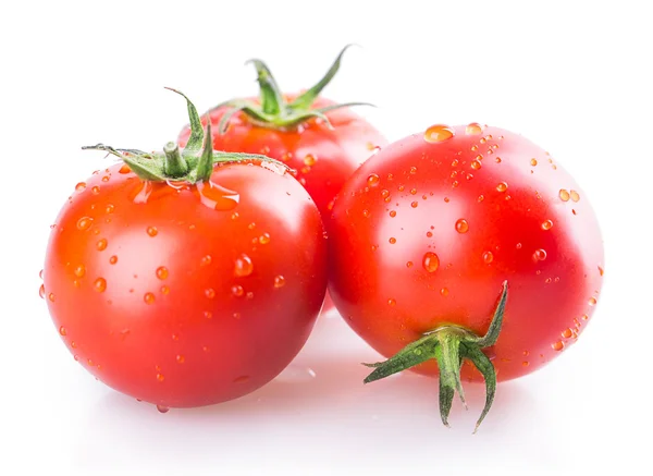 Tomato — Stock Photo, Image