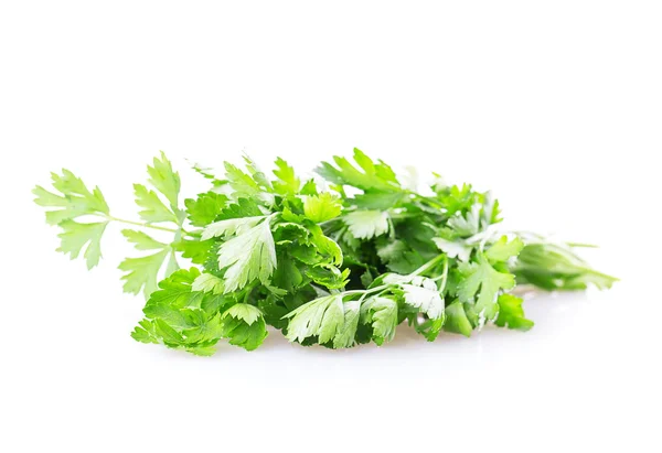 Leaf parsley — Stock Photo, Image