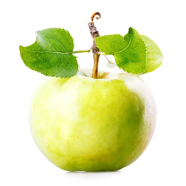 Une pomme verte — Photo