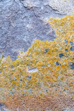 Taş taş yosun arka plan