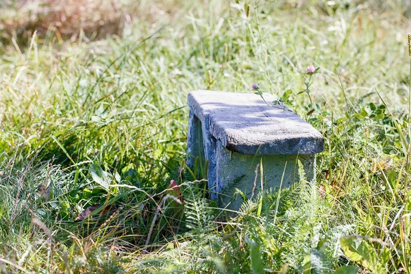 Vieille chaise herbe — Photo