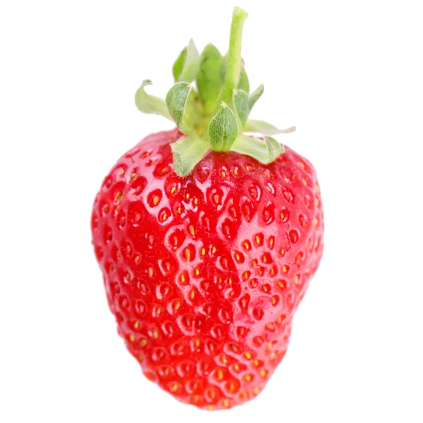 Strawberry — Stock Photo, Image