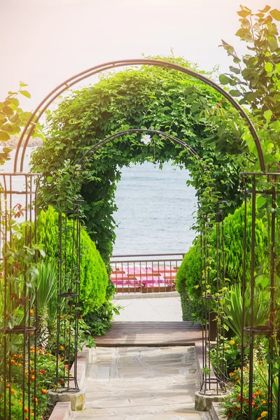 Arch plants — Stock Photo, Image