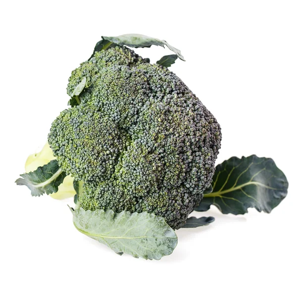 Broccoli — Stock Photo, Image