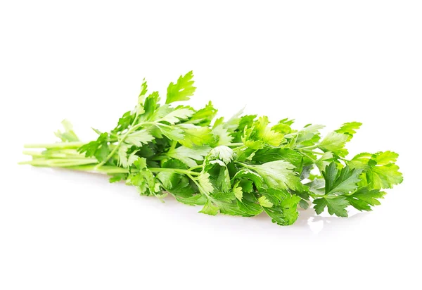 Leaf parsley — Stock Photo, Image